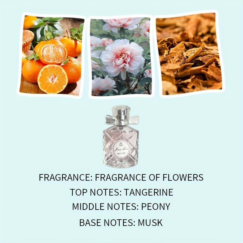 Floral & Fruity Scented Fragrance, 4-6 Hours Light Scent Fragrance Women Perfume, Natural Aroma Elegant Fragrance Cosmetic Product, Back To School, Fall Gift, Mini Perfumes