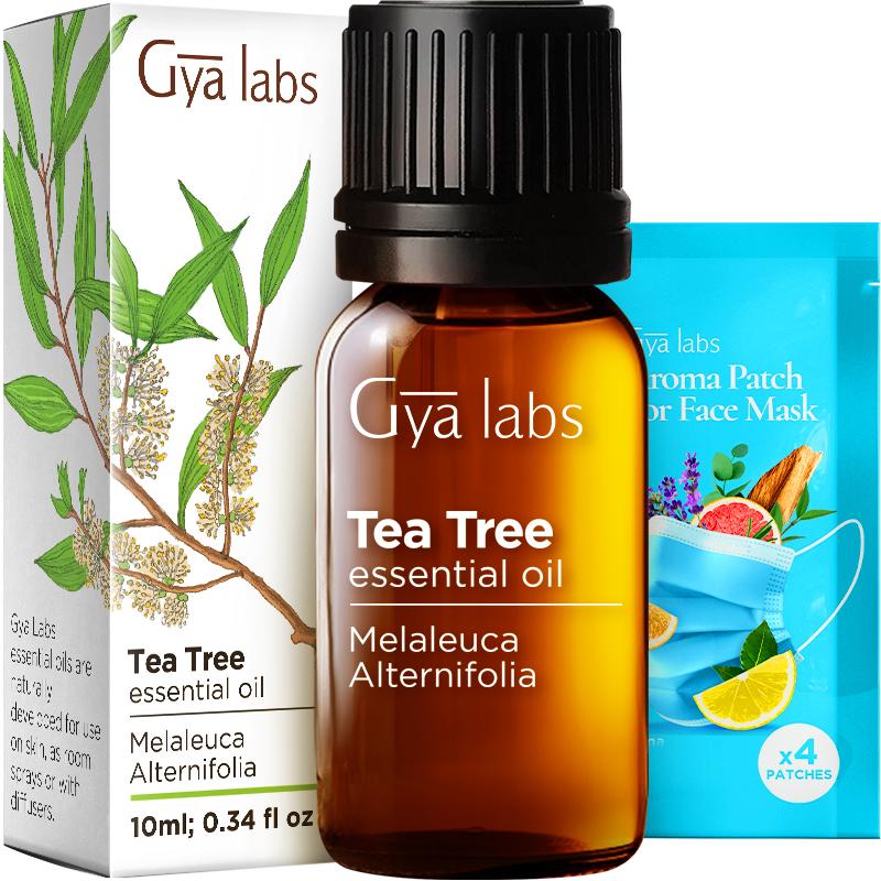 Gya Labs Tea Tree Oil for Skin & Hair - (0.34 fl oz) Tea Tree Essential Oil Body Oil for Face & Nail