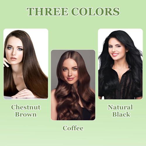 Natural Plant Hair Dye, New Botanical Bubble Hair Dye 20ml 10Packs Box for Grey Hair Color Bubble Dye, Color Conditioner Shampoo black hairdye swimmers malibu hair